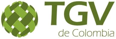 TGV MALLAS